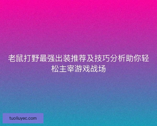 老鼠打野最强出装推荐及技巧分析助你轻松主宰游戏战场