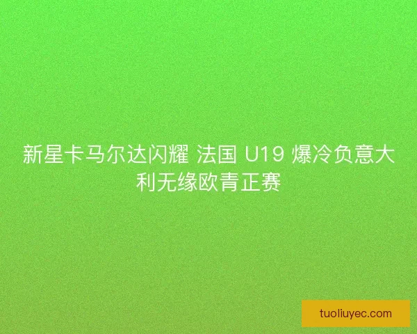 新星卡马尔达闪耀 法国 U19 爆冷负意大利无缘欧青正赛